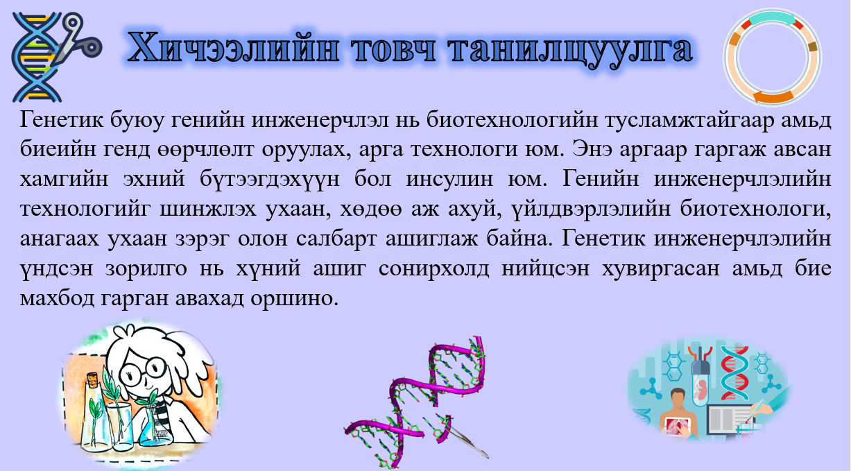 Мэдлээ | Цахим контент